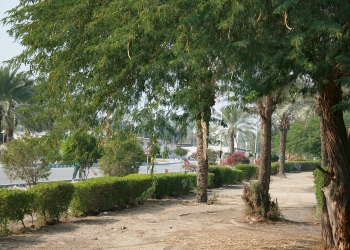 �����, ���� AtomInfo.Ru